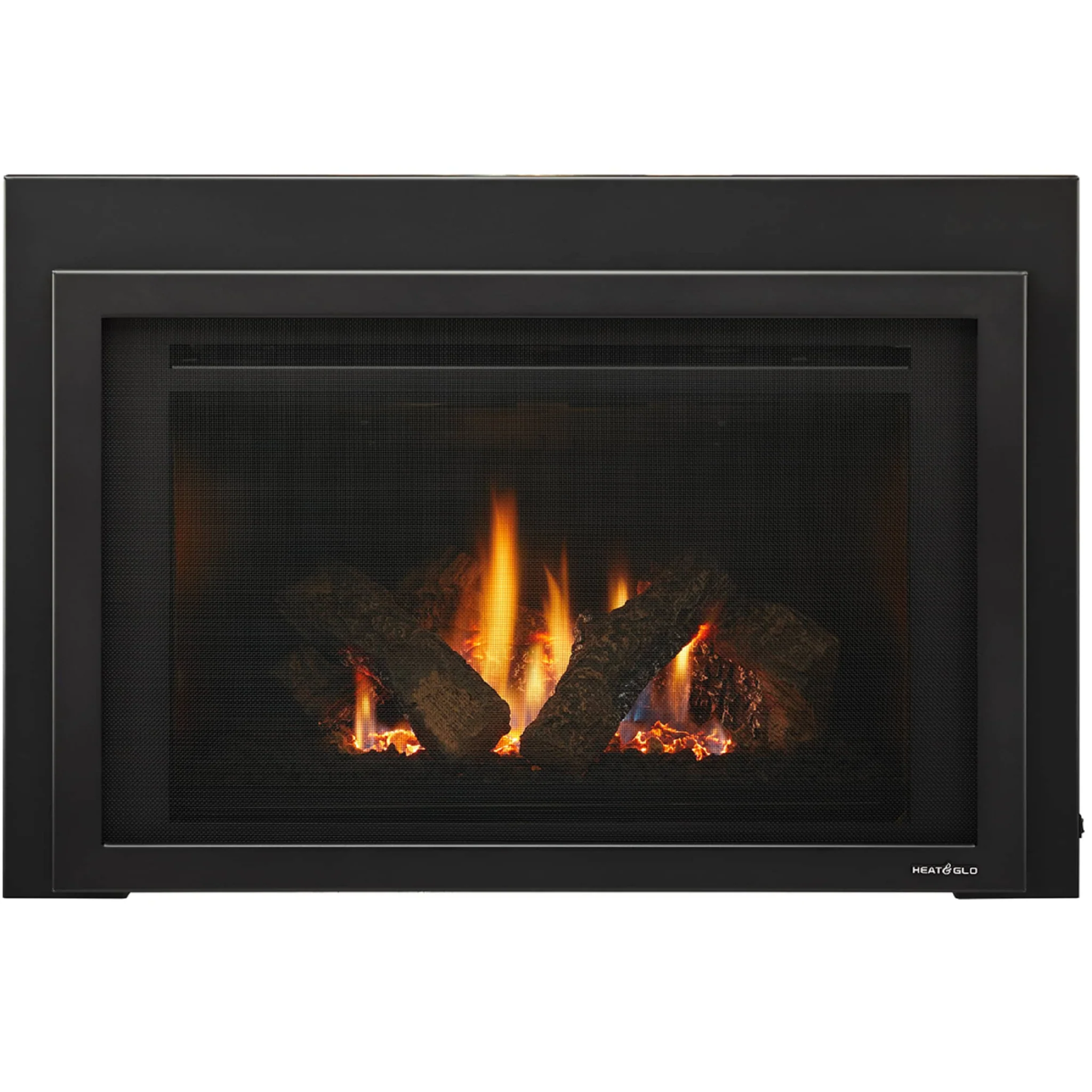 Heat & Glo Provident Gas Insert - Image 6