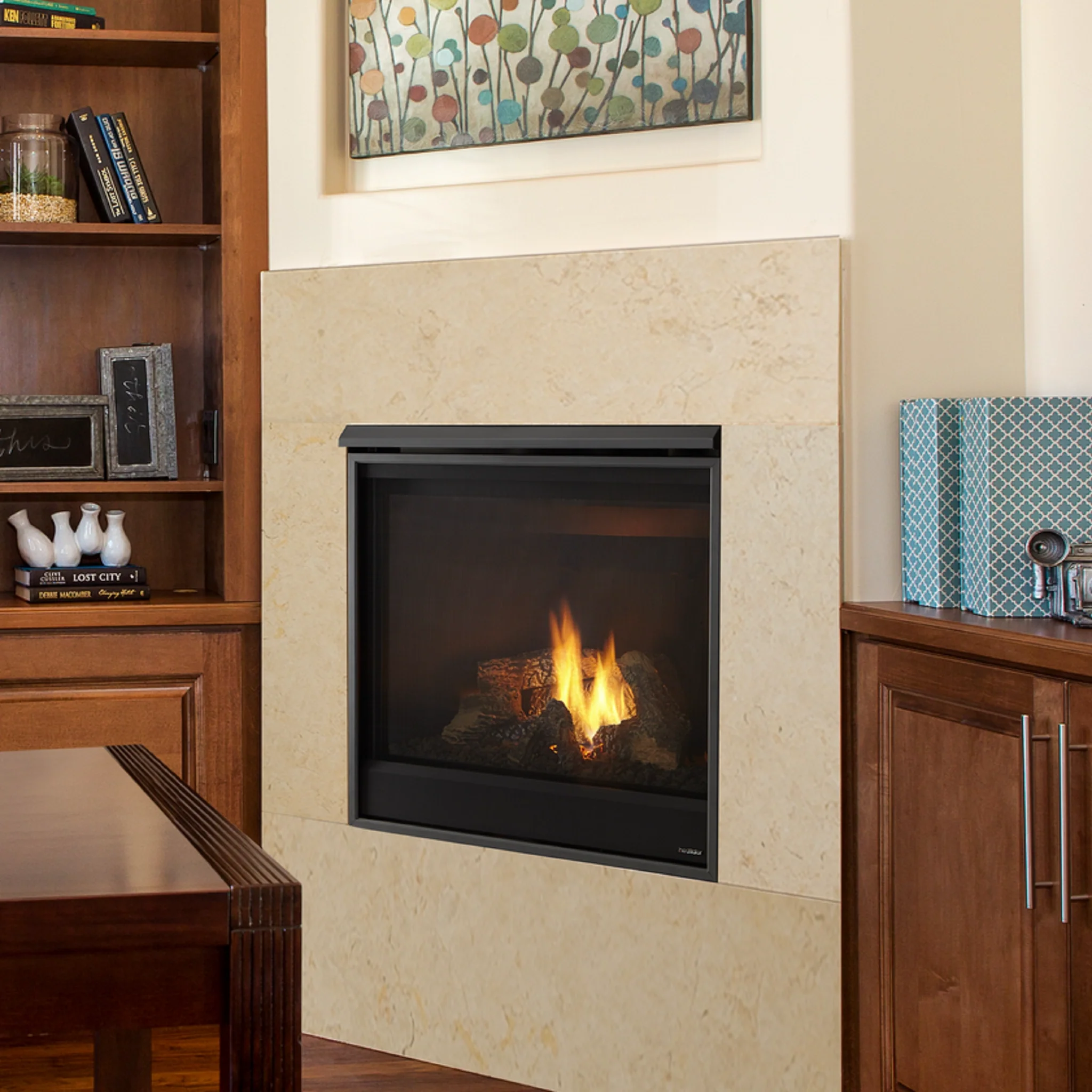 Heatilator Novus Gas Fireplace - Image 4